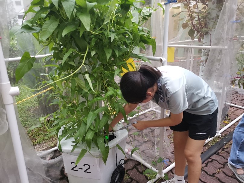 Girl Student holding plant